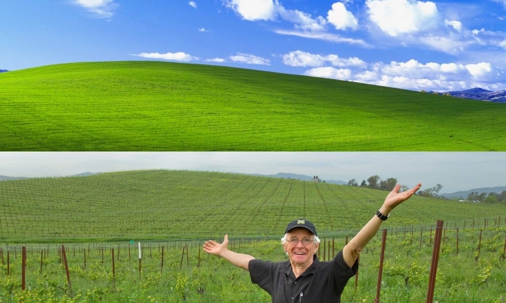 مصير محزن لصورة خلفية Windows