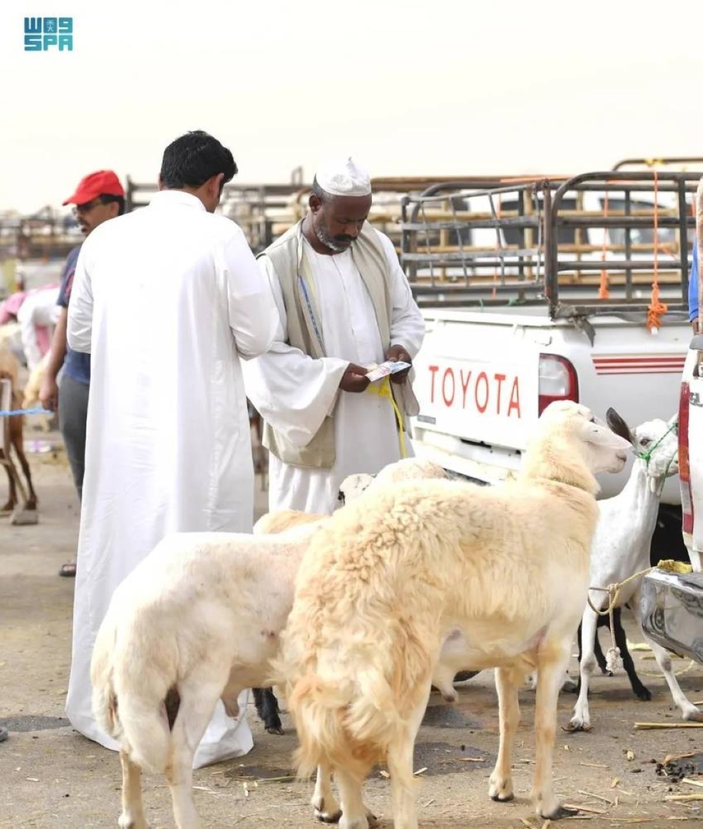 أضاح بالأقساط
