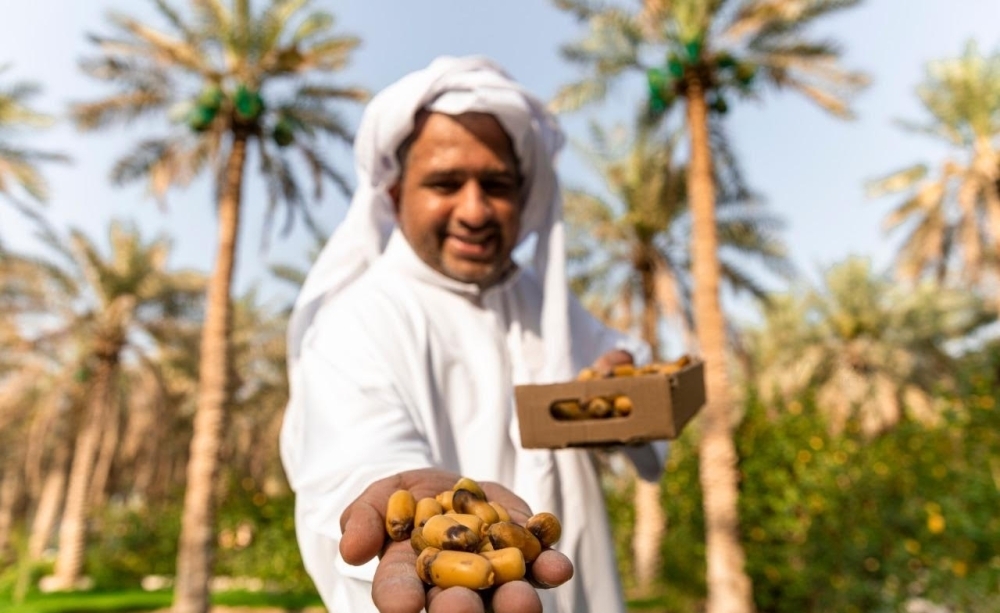 عبوات صغيرة لتقليل الهدر و70 % انخفاض سعر الرطب