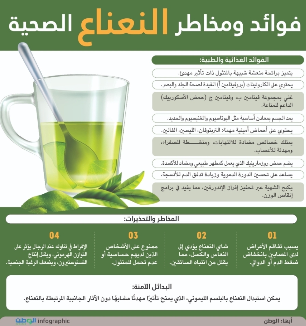 فوائد ومخاطر النعناع الصحية