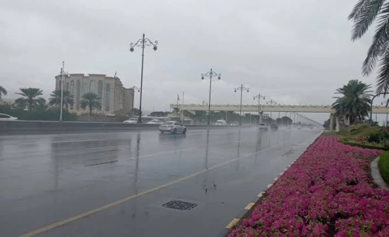 'الأرصاد': استمرار هطول الأمطار المتوسطة إلى الغزيرة على بعض المناطق حتى منتصف أغسطس الجاري