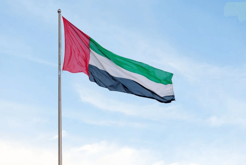 الإمارات تعلن 'إحباط تمرير أسلحة' إلى الجيش السوداني