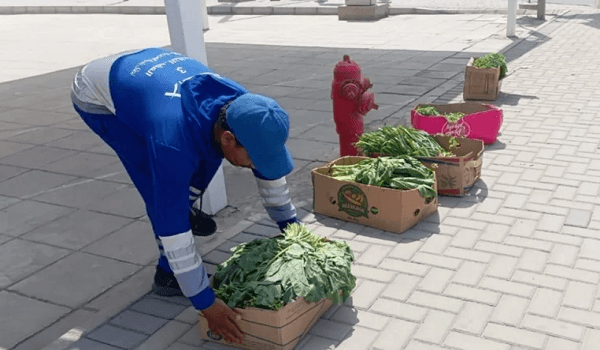 مُصادرة أكثر من 4 أطنان خضروات وفواكه في جدة