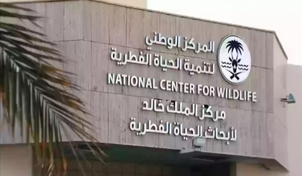 الحياة الفطرية: جراء 'الذئاب الرهيبة' المعلن عن ولادتها ليست مستنسخة
