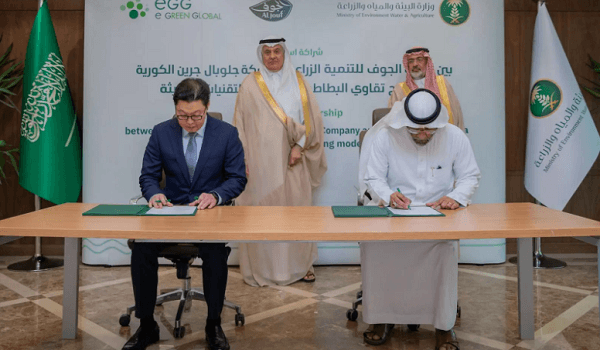 اتفاقية سعودية كورية لتوطين إنتاج تقاوي البطاطس