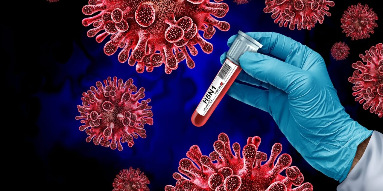فيروس H5N1 يثير أزمة صحية عالمية