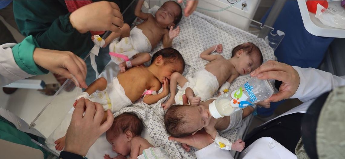رضّع غزة بين شبح الموت البطيء وصمت العالم.. حين يصبح الحليب واللقاح رفاهية تحت الحصار