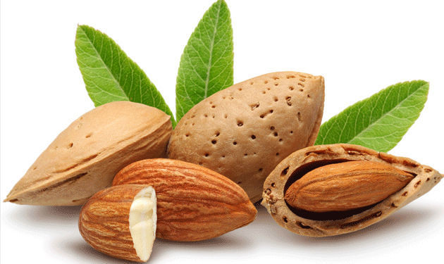 اللوز.. كنز صحي يخفض الكوليسترول ويحارب السرطان ويحمي القلب