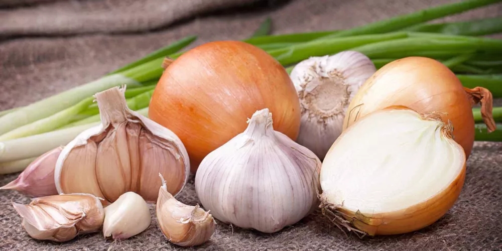 10 أطعمة تعزز صحة الأمعاء وتدعم بكتيريا البروبيوتيك النافعة