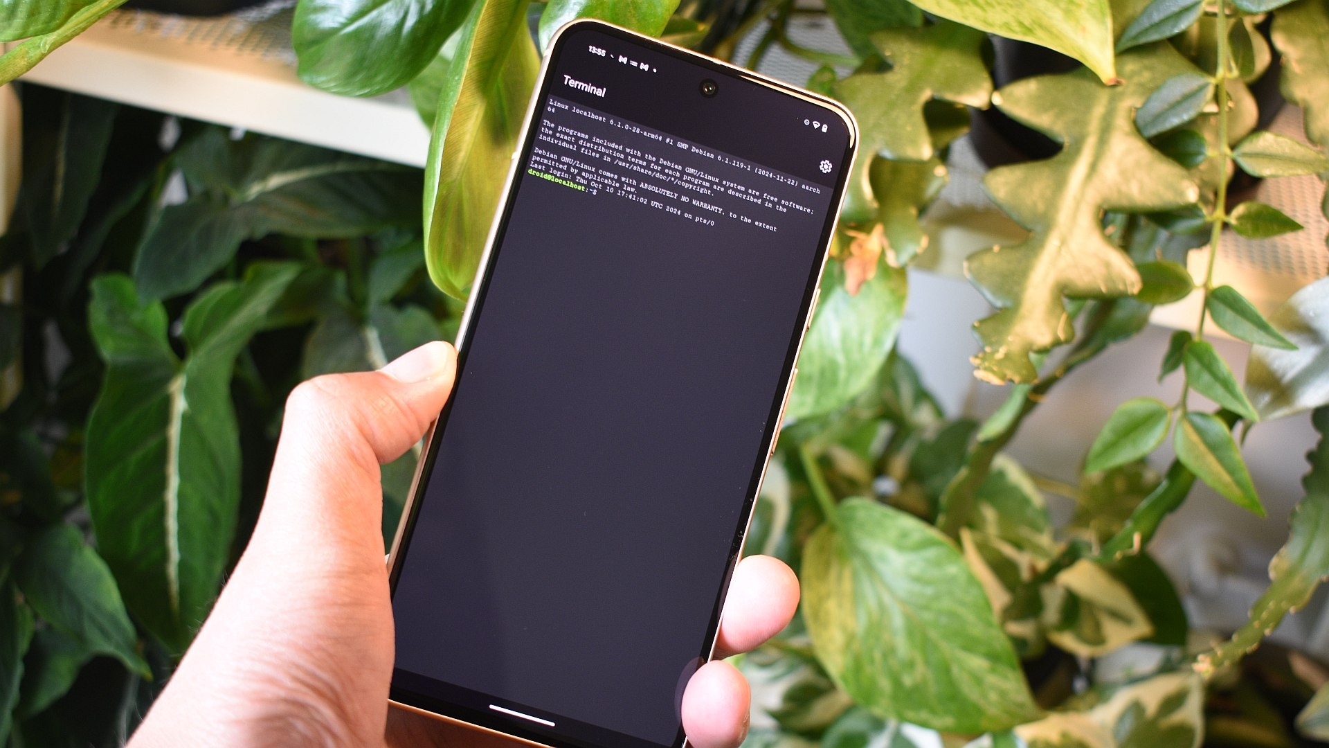 I activated the Linux terminal on my Pixel, and you should too