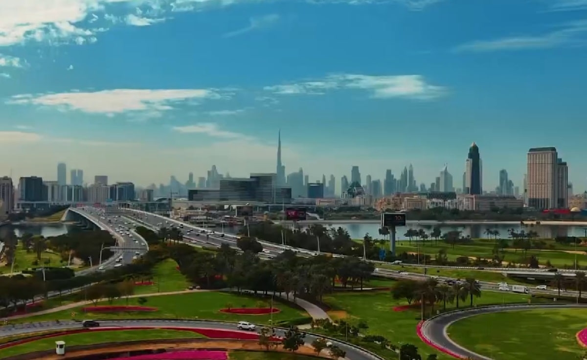 Dubai Municipality planted 216,500 trees last year