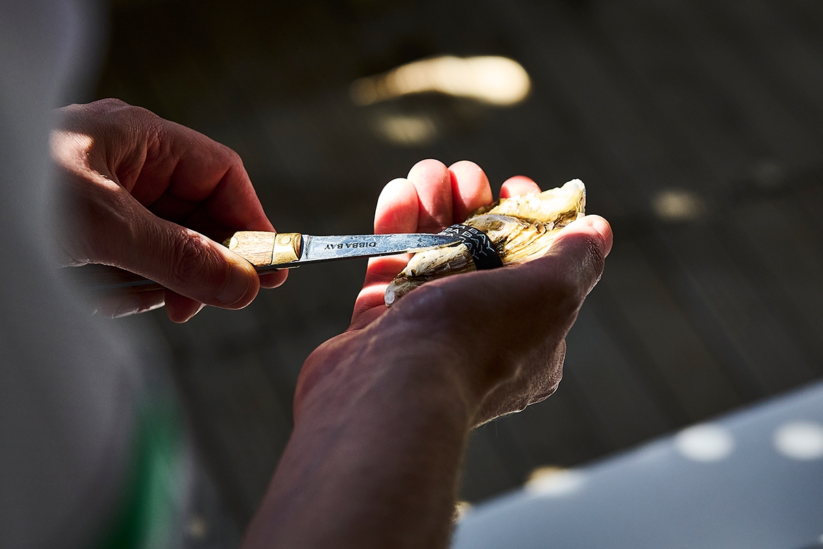 Dubai fine dining boom drives record demand for local UAE oyster producer Dibba Bay