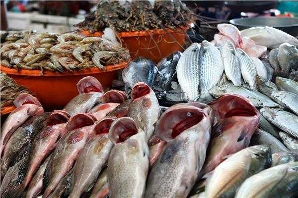 : أسعار الأسماك في سوق العبور للجملة اليوم الجمعة 1 أغسطس