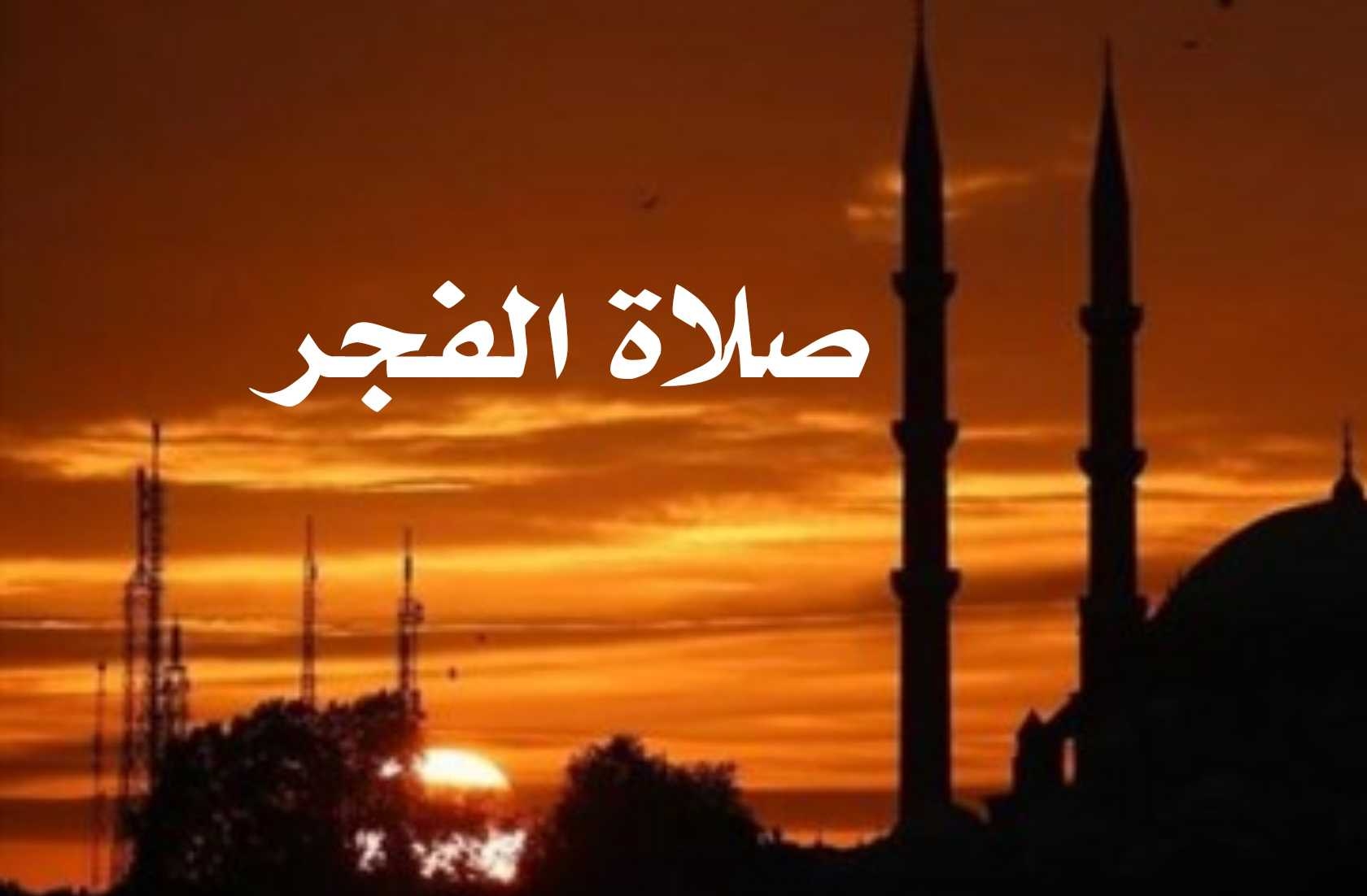 : علي جمعة يوصي .. كيف تجعل الملائكة توقظك لصلاة الفجر؟