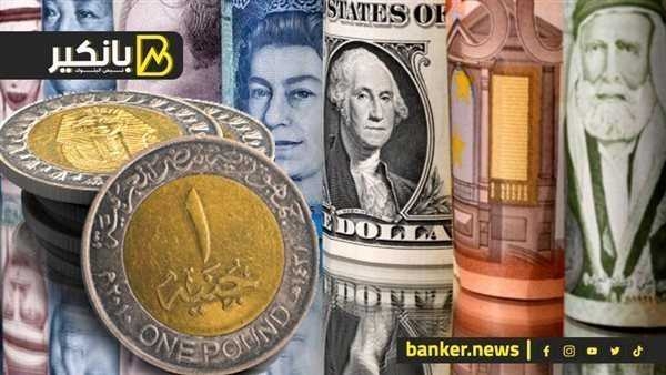 أسعار العملات الأجنبية أمام الجنيه اليوم الثلاثاء 20-5-2025 في البنك المركزي المصري