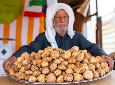 Kuwait's truffle season brings flavorful desert delight