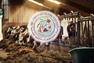 Foot-and-Mouth Disease Confirmed in Kuwait; Vaccine Imports Still Pending
