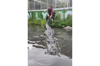 Alligator that starred in 'Happy Gilmore' dies of old age