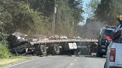 Millions of honeybees abuzz after truck overturns in Washington state
