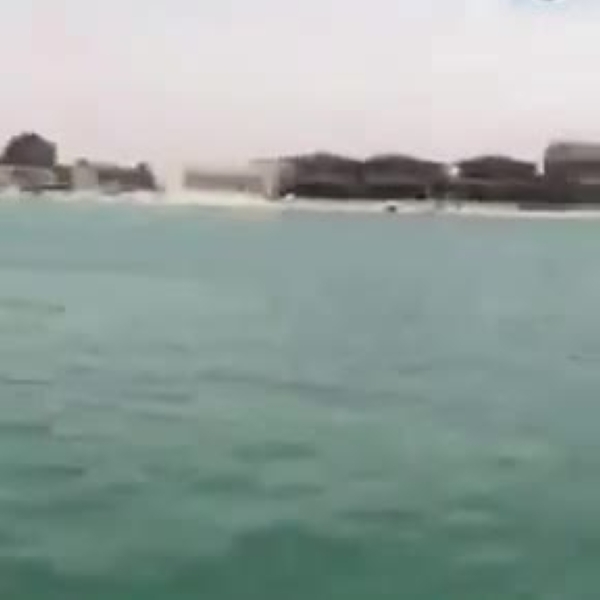 Kuwait Expert Warns Against Shark Hysteria