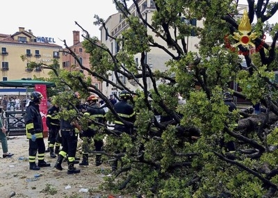 Falling tree in Venice injures dozen people, including foreign tourists