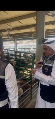 Kuwait boosts oversight to stabilize livestock prices ahead of Eid