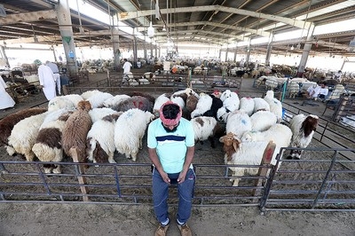 Eid market oversight intensifies
