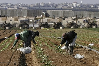 How Thailand Laborers Became Hostages In The Israel-Hamas War
