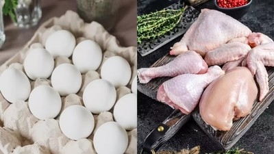 Kuwait lifts poultry import ban on Iran, select US states; imposes new restrictions elsewhere