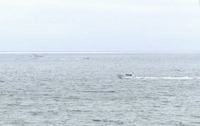 Coast Guard suspends search for plane that crashed into the ocean off San Diego and killed 6