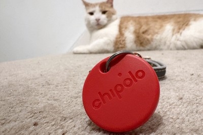 No more lost cats and dogs. Use tech to yrack your pet