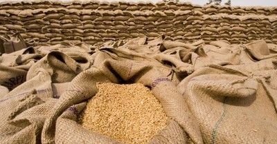 Grain Theft Sparks New Ukraine-EU Diplomatic Pressure on Bangladesh