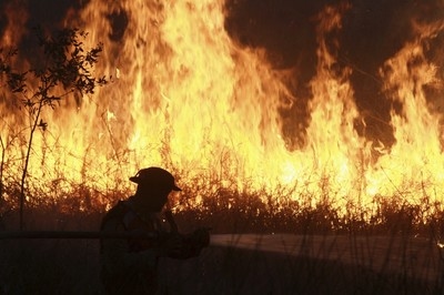 Forest fire haze from Indonesia detected in Malaysia