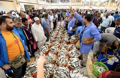 Fishermen call for controlled mullet fishing