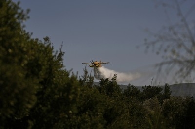 Forest fire in NW Türkiye prompts evacuation of 5 villages