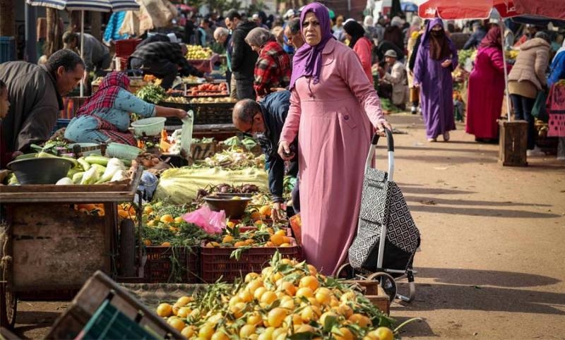هذا هو المصير الغريب لنصف ما ينفقه المغاربة لشراء الخضر؟