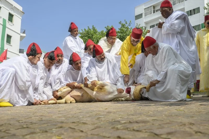 الملك لم يمنع ذبح أضحية العيد؟