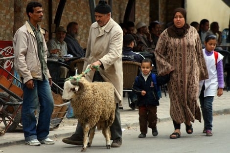 منع عيد الأضحى يوجه ضربة موجعة لرجال اعمال إسبان؟