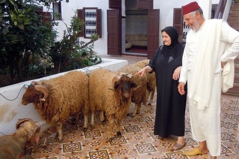 الغاء عيد الاضحى يوجه ضربة موجعة لهذه المهن في المغرب؟