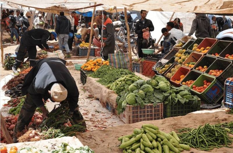 خضر من نوع غريب قريبا على موائد المغاربة؟