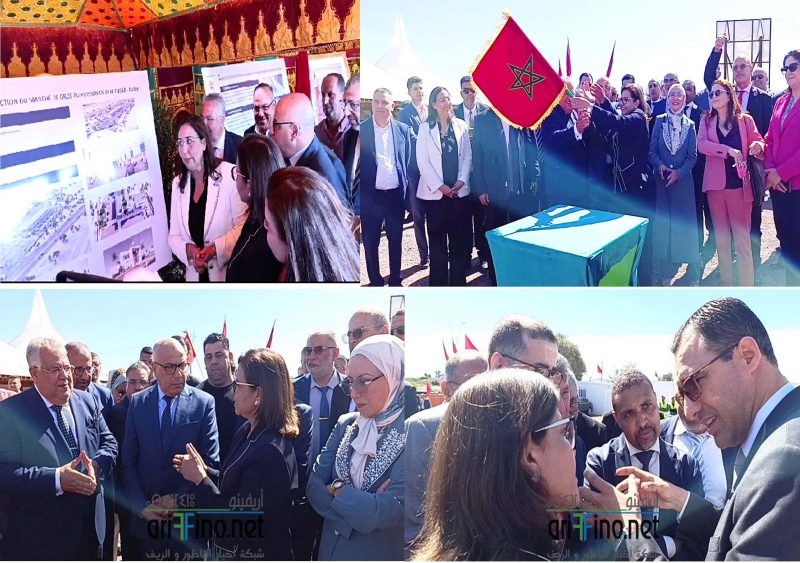 زكية الدريوش تعطي انطلاقة إنجاز مشروع سوق الجملة لبيع السمك ببني انصار