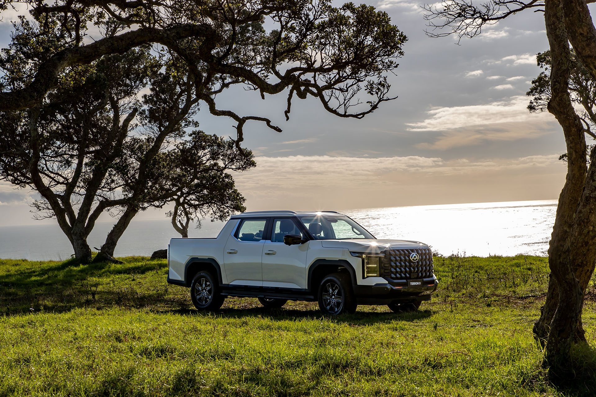 LDV launches new Terron 9 ute in New Zealand