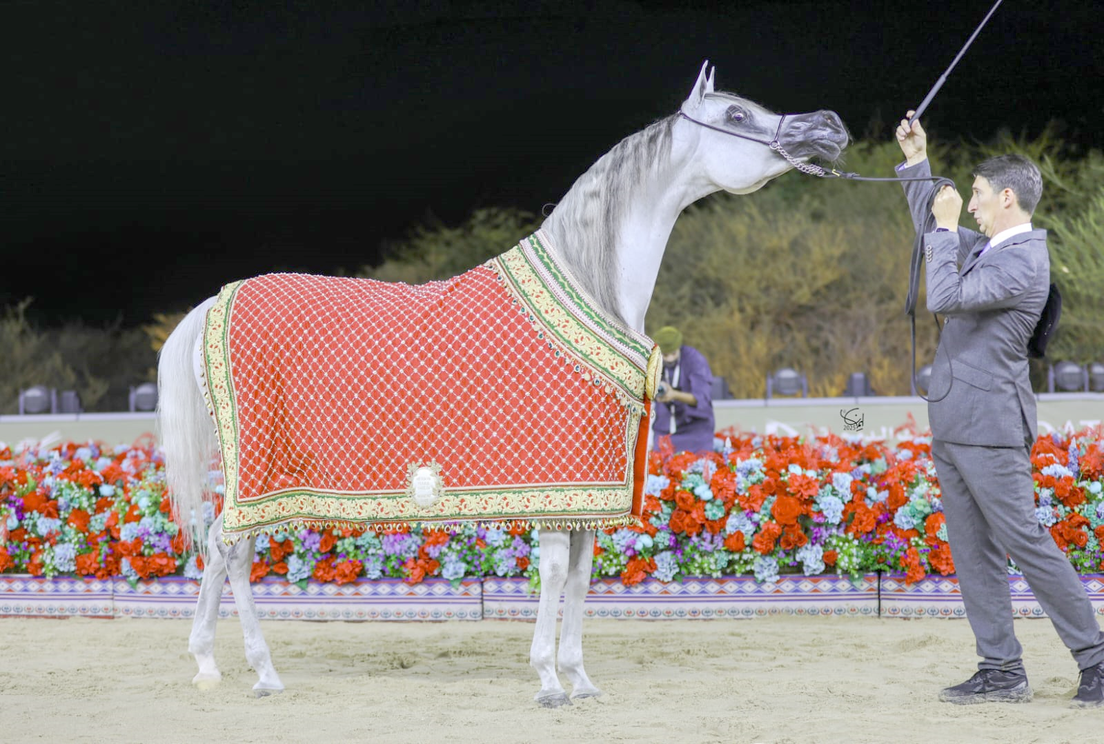 جولة الجياد العربية 2025