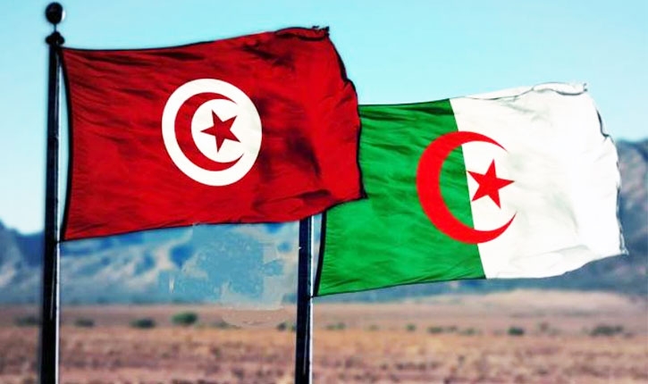دعوة إلى تكثيف الجهود العمومية لتعزيز إمكانات تونس التصديرية في السوق الجزائرية