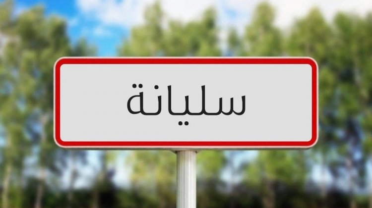 سليانة: تنظيم يوم اعلامي حول أهمية التداول الزراعي في منظومة الحبوب