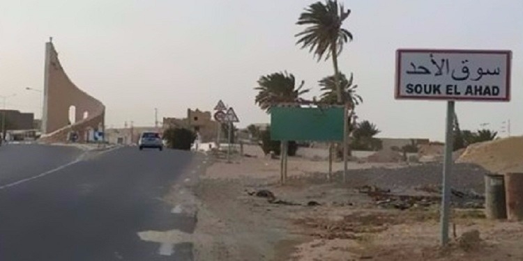 قبلي: تنظيم يوم اعلامي بخلية الارشاد الفلاحي بسوق الاحد حول البروتوكول العلمي لمكافحة عنكبوت الغبار والتلقيح الالي لاشجار النخيل