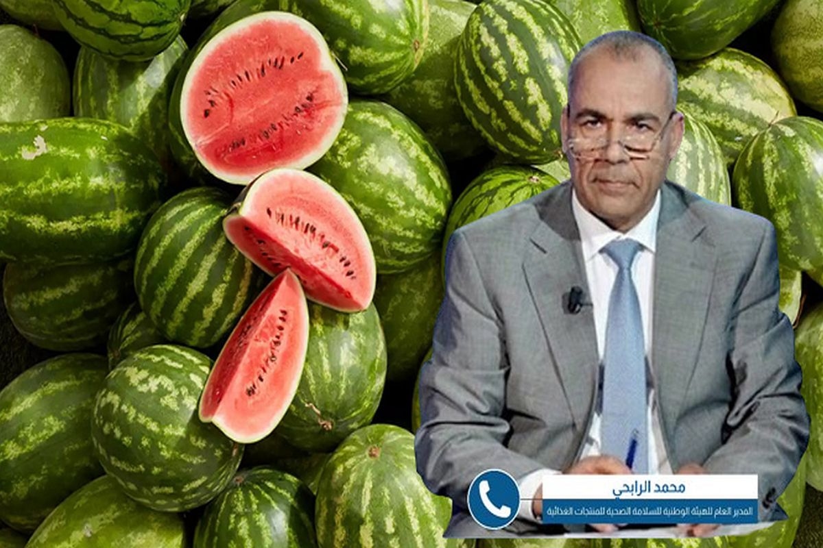 محمد الرابحي يطمئن التونسيين حول سلامة الدلاع ويحذّر من التسممات الصيفية