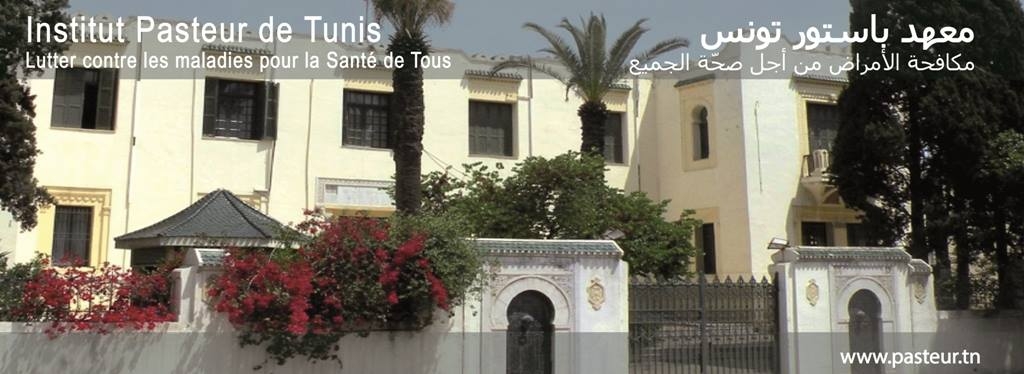 معهد باستور: تراجع مبيعات لقاح السل وتوقف بيع الأمصال العلاجية ضد لسعات العقارب ولدغات الأفاعي وداء الكلب خلال سنة 2024