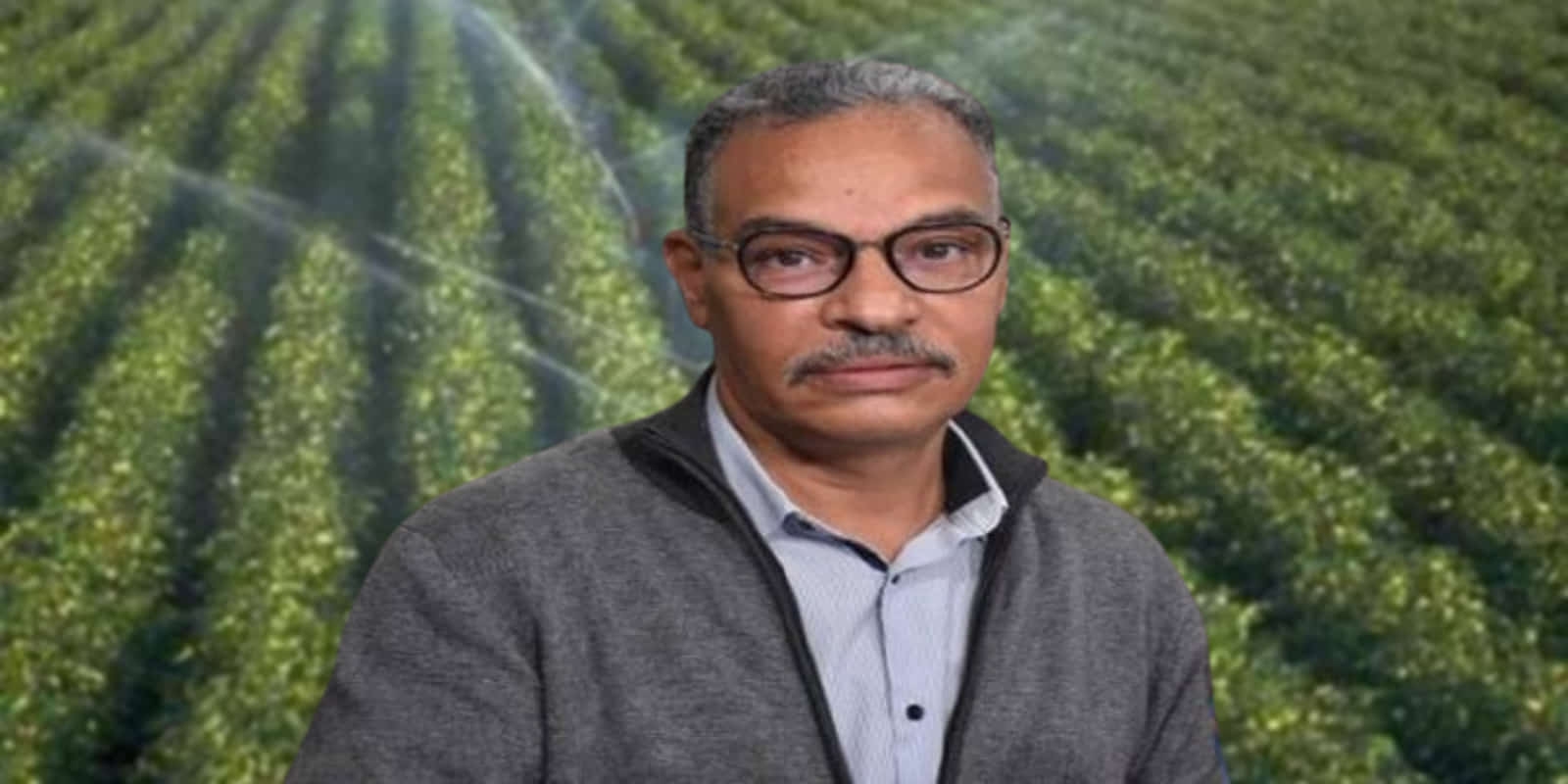 الرحيلي: نصف الكمية التي نشربها من المياه تتبّخر يوميا من السدود..