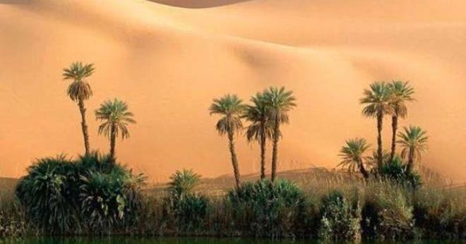 إطلاق مشروع تمويل التنوع البيولوجي "بيوفين" في تونس